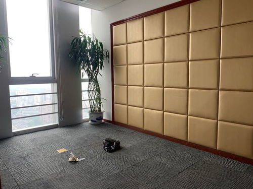 团结湖嘉盛中心精装修带家具办公楼出租